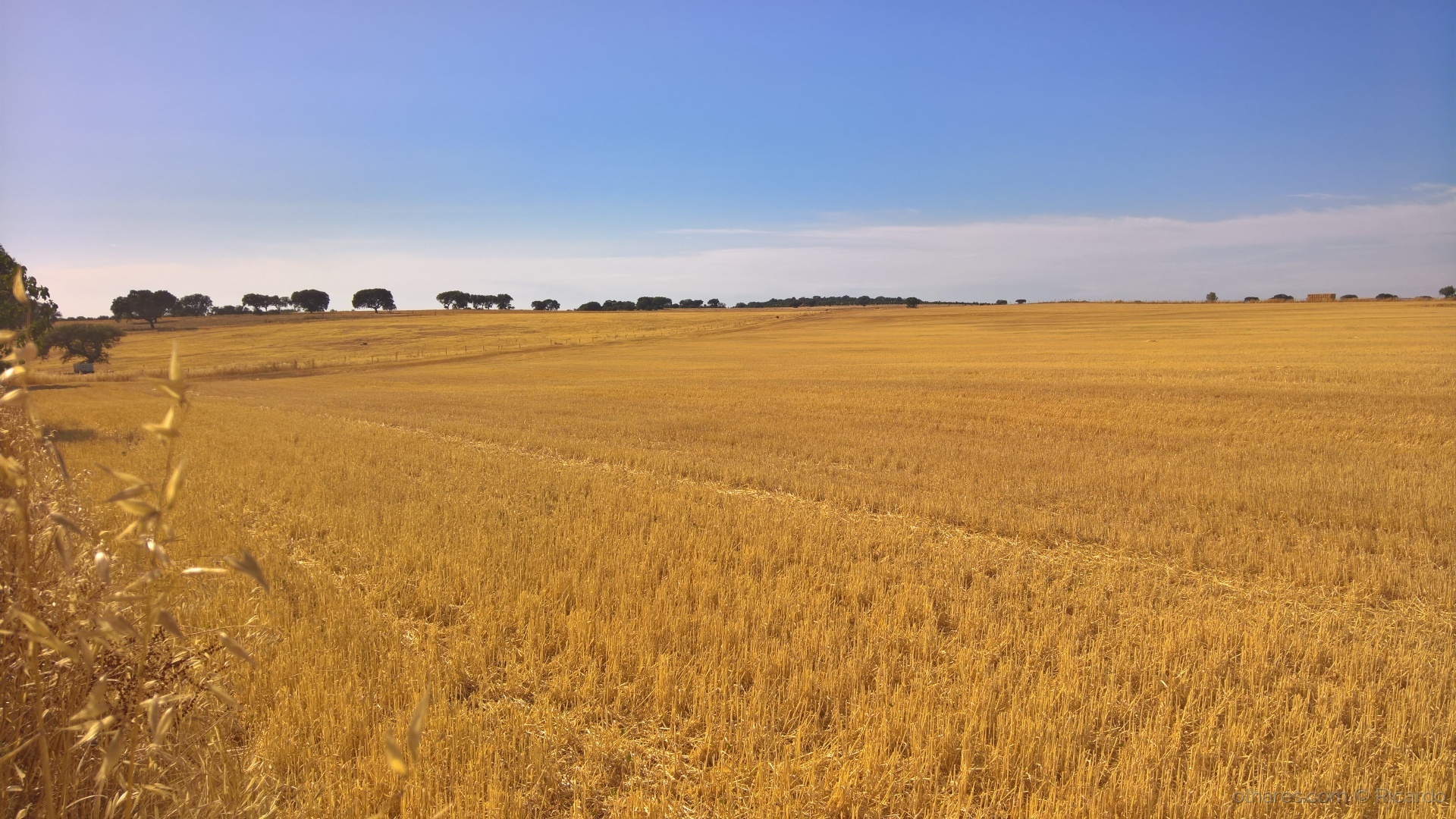 Alentejo 1 Alentejo 1